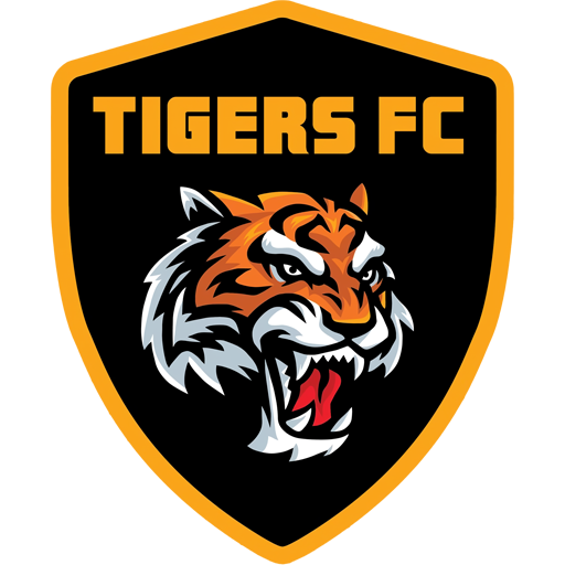 Match Previews
