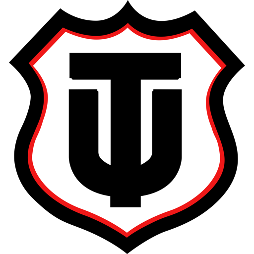 Técnico Universitario