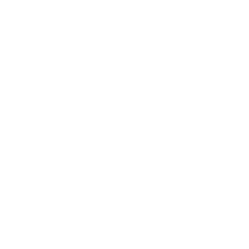Manawatu Jets