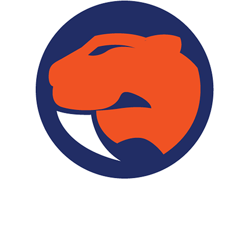 Sandringham Sabres